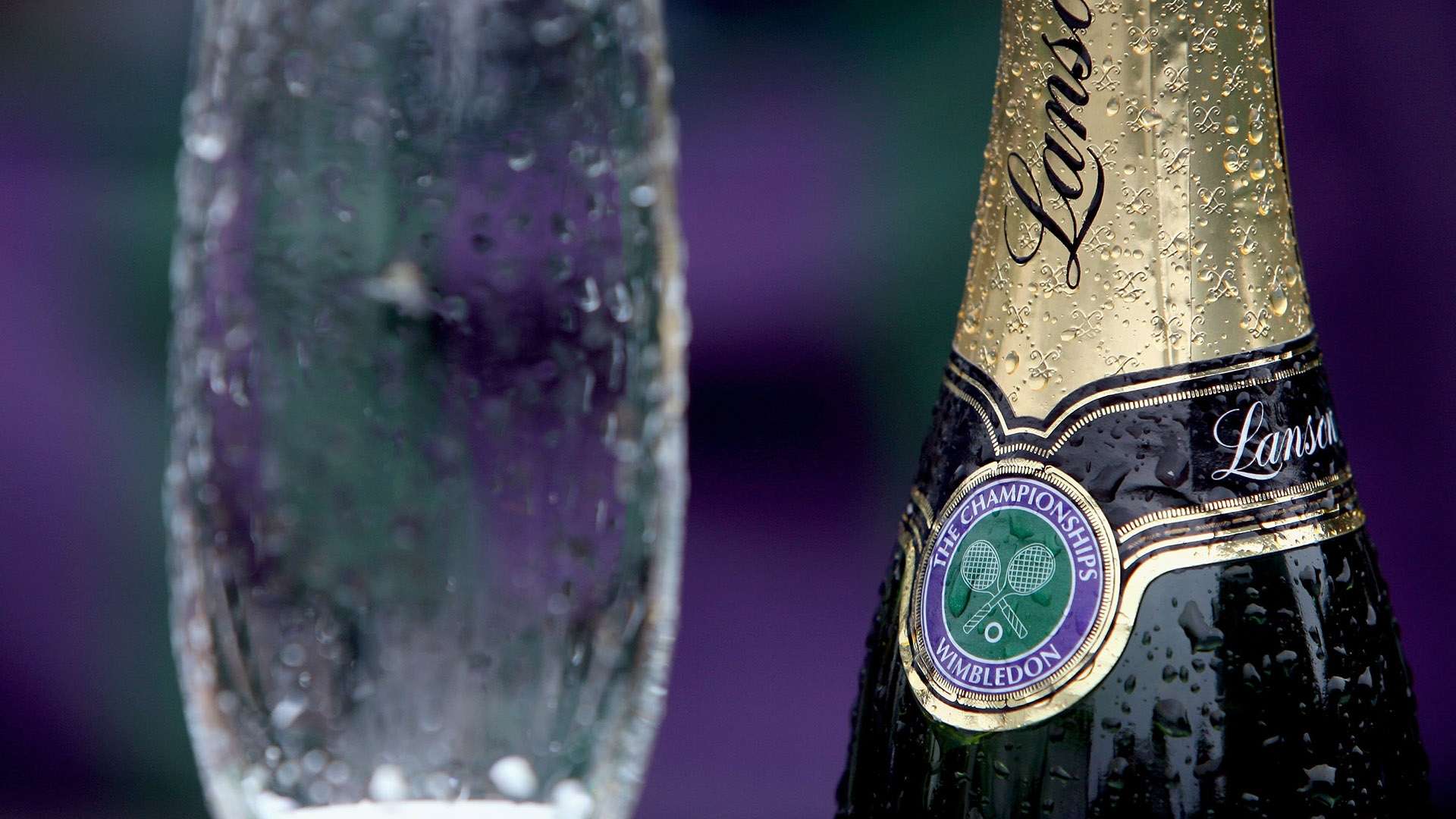 的价格与高 的价格与高