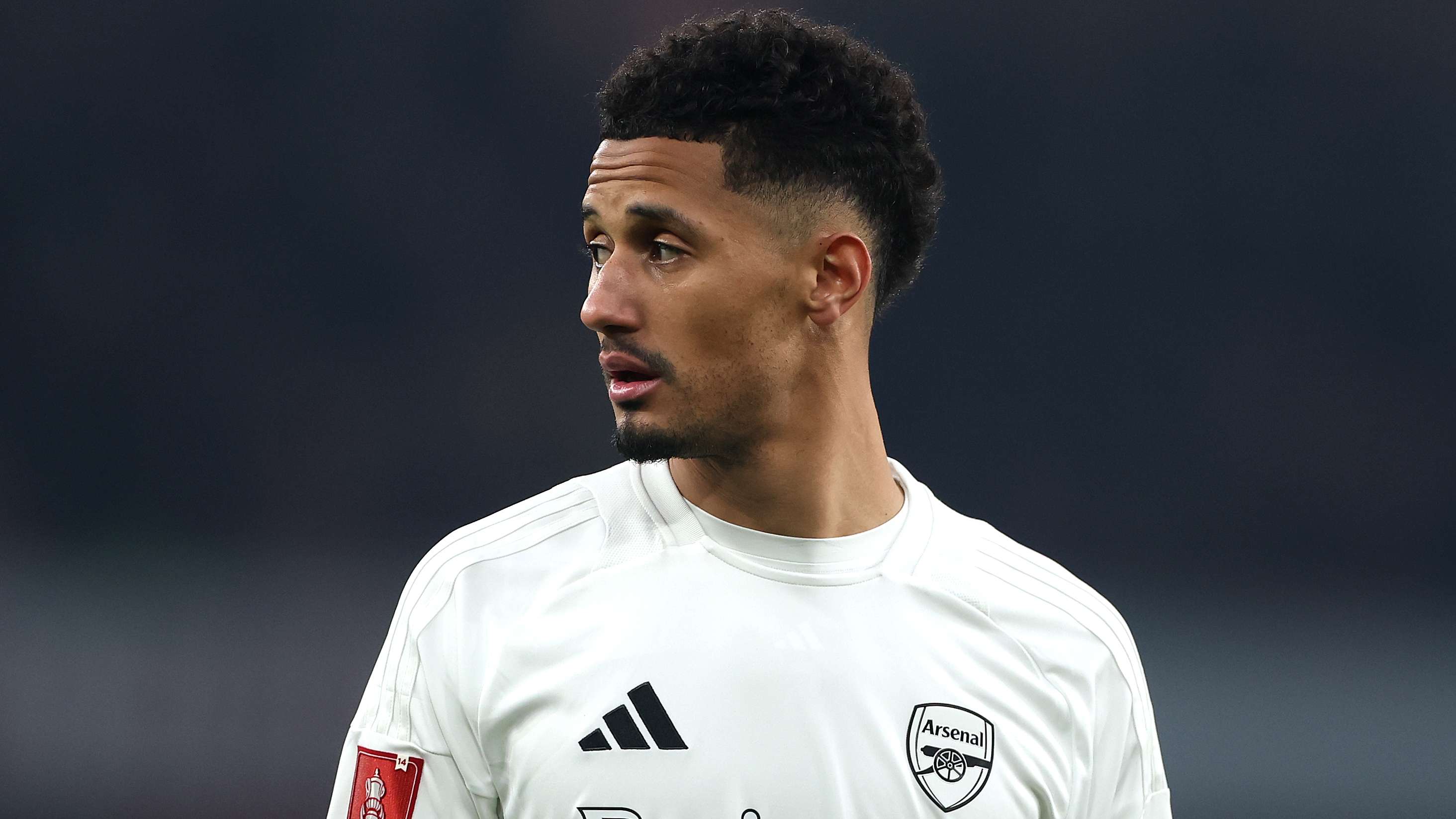 将不仅仅在 将不仅仅在